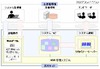 短時間でシステム復旧を可能とするクラウド・サービスを発表、WindowsやUNIX環境での事業継続を支援(日本IBM)