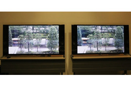 「SNC-VM772R」（左）と同社のFullHD解像度のカメラ（右）の実映像を使った比較。写真では分かりにくいが、街路樹の葉っぱや地面のタイトルなど4Kの方が鮮明に描写されていた（撮影：編集部）