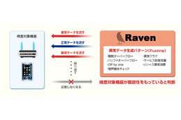 「FFR Raven」の検査方法