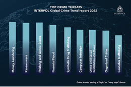 世界中の警察官が考える現在／未来の脅威「インターポール世界犯罪動向2022」公表 画像
