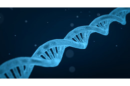 狼藉運営の DNA 検査企業、政府に告発される 画像