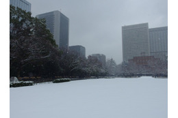 雪の東京（日比谷公園、2月14日昼）