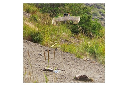 UAVで運搬される土砂サンプリングデバイス