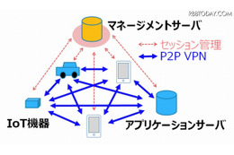 「DNP Multi-Peer VPN」の利用イメージ