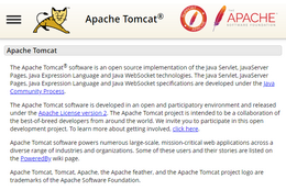 Apache Tomcat の Windows 版において CGI のパラメータ処理の不備により遠隔から任意のコードが実行可能となる脆弱性（Scan Tech Report） 画像