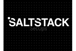 SaltStack Salt において遠隔コード実行につながる認証回避の脆弱性（Scan Tech Report） 画像