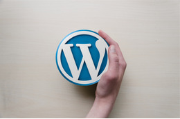 WordPress の All-in-One WP Migration and Backup プラグインにおける遠隔からの任意のコード実行につながるファイル検証不備の脆弱性（Scan Tech Report） 画像