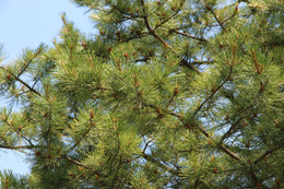 脅威アクターの名前大杉問題 画像