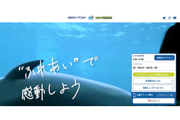 カリフォルニアアシカの愛称募集に応募した 61 名の個人情報閲覧可能に 画像