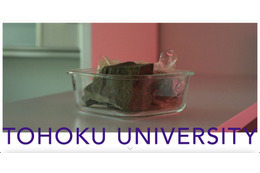 4 名の東北大 ID を不正利用し情報機器に不正アクセス 画像