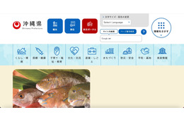 「行政不服審査裁決・答申検索データベース」に掲載していた沖縄県の公表用裁決書で個人情報漏えい、特別の操作を行うことで 39 名の姓名等が閲覧できる状態に 画像