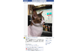 当誌名誉編集長（自称）りくが、日本マイクロソフト公式Facebookページにて紹介されました