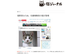 当誌名誉編集長(自称)りくが、猫専門ブログ「猫ジャーナル」にて紹介されました