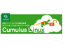 ネットワークOS「Cumulus Linux」をホワイトボックススイッチに搭載（ネットワールド） 画像