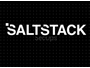 SaltStack Salt において遠隔コード実行につながる認証回避の脆弱性（Scan Tech Report） 画像