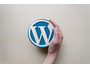 WordPress Social Loginプラグインに脆弱性 画像