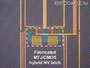不揮発性論理回路で世界最高の動作周波数600MHz達成（東北大学、NEC） 画像
