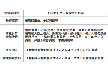 企業のサイバーセキュリティ対策を支援する包括的な「サイバー保険」を開始（損保ジャパン日本興亜） 画像