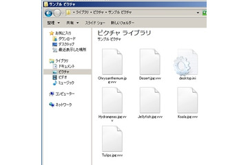 英語圏のインターネット利用者が攻撃対象、『vvvウイルス』に関する分析報告を発表(トレンドマイクロ) 画像