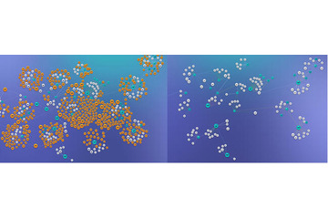 ネットワークを「迷宮化」してサイバー攻撃を防ぐソリューション（アズジェント） 画像