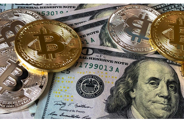 ランサムウェアの身代金支払いで反社への資金供与システムと化すサイバー保険産業 画像