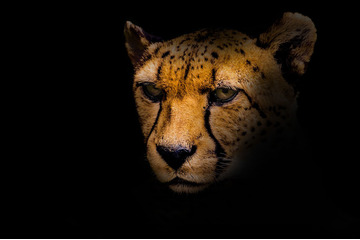 LogStareのSOCの窓 第7回「社内ネットワークで『嵐』が起きた日」 画像