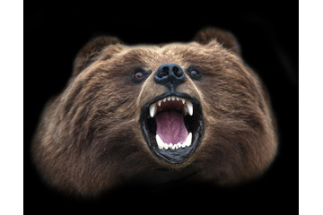 ロシアのスノーデンか「Vulkanファイル」流出 画像