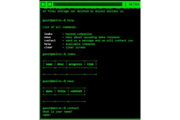 拡張子「.akira」で暗号化するランサムウェア「Akira」～ 1988年のあの映画か 画像