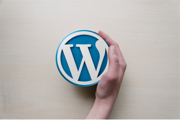 WordPress Social Loginプラグインに脆弱性 画像