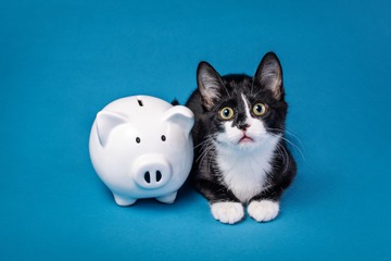 身代金支払を断固拒否してカーネギーメロン大学ほかセキュリティ研究組織に要求額と同額を寄付したＣＴＯ 画像