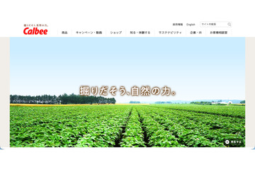 カルビーのプロ野球チップス関連サービス「PhotoGoods」で個人情報漏えいの可能性 画像