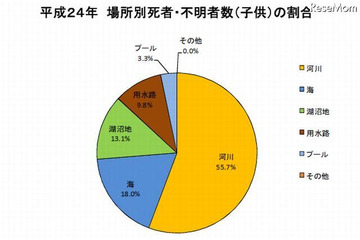 2012年中における水難の概況を発表、発生場所は河川が最多(警察庁) 画像
