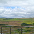 AFRINICオフィスから見えた光景、一面のサトウキビ畑