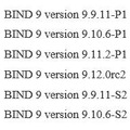 脆弱性を解消した「ISC BIND 9」のバージョン