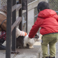 子供に触られてもまったく動かないゆたかくん。