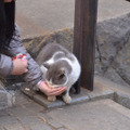 手からごはんを食べるゆたかくん。