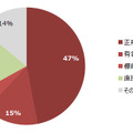 C&Cサーバのホスト名分類 誤解を誘う偽装手段（赤系色部分）が全体の67％