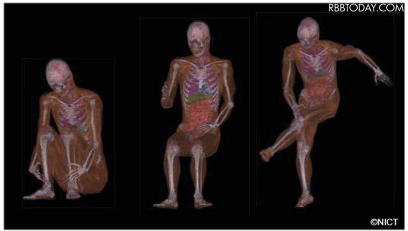 数値人体モデルのポーズ（姿勢）変更例