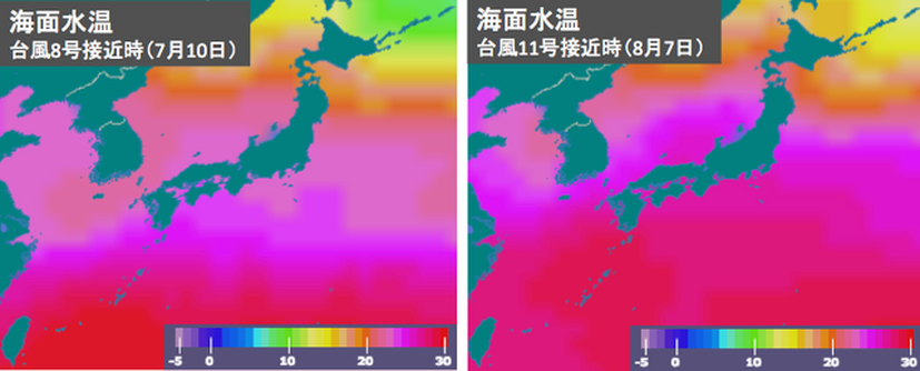 ウェザーニュースタッチにて台風11号に関する最新情報を配信