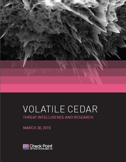 レポート「Volatile Cedar」