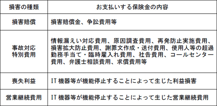 「サイバー保険」の概要