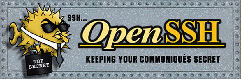 「OpenSSH」に複数の脆弱性、アップデートを呼びかけ（JVN）