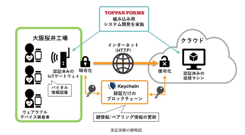 実証実験の概略図