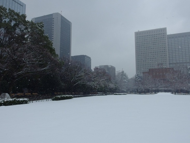 雪の東京（日比谷公園、2月14日昼）