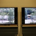 「SNC-VM772R」（左）と同社のFullHD解像度のカメラ（右）の実映像を使った比較。写真では分かりにくいが、街路樹の葉っぱや地面のタイトルなど4Kの方が鮮明に描写されていた（撮影：編集部）