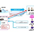 「お手軽運用パック」の保守概要イメージ図。震災リスクが少ない沖縄にデータセンターを設置している点やキヤノンS&Sによる監視・保守サービスが特徴となる（画像はプレスリリースより）