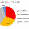 購入者のキャリア内訳（n=293）