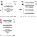 Slow HTTP DoS Attackのバリエーション