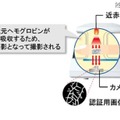 同社の指静脈認証は、本人拒否率0.01%、他人受入率0.0001%、登録未対応率0.03%以下を誇っている（画像は公式Webサイトより）