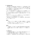 報告書（有識者会議の見解1）